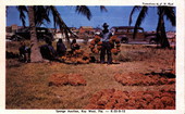 Sponge auction - Key West, Florida.