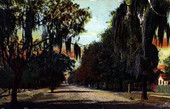Main Street - Kissimmee, Florida