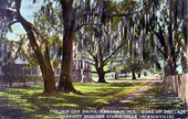 The old oak drive, home of the late Harriet Beecher Stowe - Mandarin, Florida