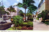 Fifth Avenue - Naples, Florida.