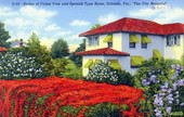 Hedge of flame vine and Spanish type home - Orlando, Florida.