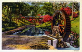 Rustic water-wheel and suspension bridge - Ravine Gardens, Palatka, Florida