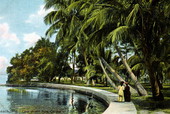 Lake Worth from garden of eden - Palm Beach, Florida.