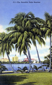 View of Palm Beach and Lake Worth - Florida.