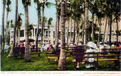 Afternoon concert hour, Royal Poinciana - Palm Beach, Florida