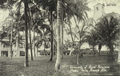 Grounds of the Royal Poinciana Hotel - Palm Beach, Florida.