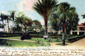 The promenade, Hotel Royal Poinciana - Palm Beach, Florida