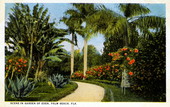 Scene in Garden of Eden - Palm Beach, Florida