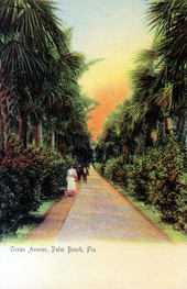 Ocean Avenue - Palm Beach, Florida.