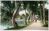 Along the shore of Lake Worth - Palm Beach, Florida.