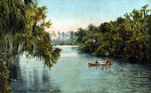 The Hillsborough River near Tampa - Florida.