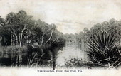 Wekiwoochee River - Bay Port, Florida.