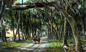 Old South Drive - Rockledge, Florida.