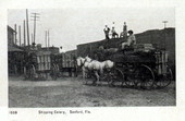 Shipping celery - Sanford, Florida.
