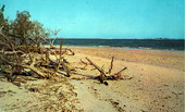 Bay side of Lighthouse Point, showing new bridge and causeway in background - Sanibel Island, Florida.