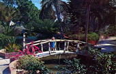 The only concrete bamboo bridge in Florida at beautiful Sarasota Jungle Gardens.
