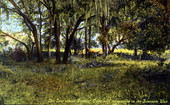 The spot where General Dade was massacred in the Seminole War.