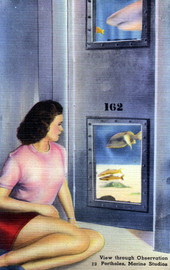 View through observation portholes, Marine Studios - Marineland, Florida.