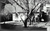 House and front yard.