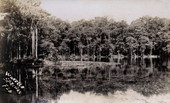 Wakulla Springs, Florida