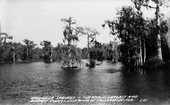 Wakulla Springs - Florida