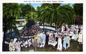 Jewel Box Tea Garden, Plant Park - Tampa, Florida.