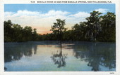 Wakulla River as seen from Wakulla Springs - near Tallahassee, Florida