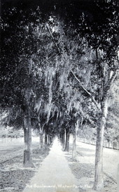 The Boulevard - Winter Park, Florida.