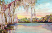 Spanish moss hanging from a tree.