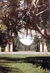 Entrance to Hialeah Race Course's new club house - Hialeah, Florida