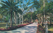 Azaleas at the Ringling Residence - Sarasota, Florida .