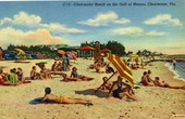 Visitors on Clearwater Beach - Clearwater, Fla