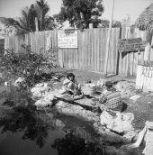 Seminole Indian John Osceola and his daughter doing the family wash