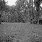 View of Dade Battlefield Historic State Park: Bushnell, Florida