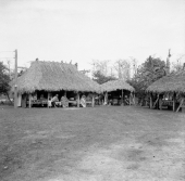 Charlie Cypress village
