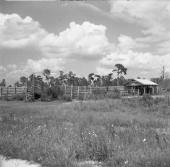 Corral and cattle pen with grassy area in foreground