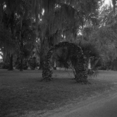 Arch and historical markers at Dade Battlefield Historic State Park: Bushnell, Florida