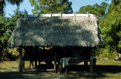Seminole Indian grass hut at the reservation - Brighton Reservation, Florida