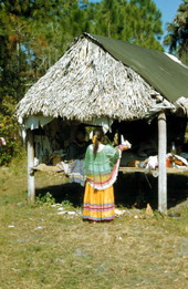 Seminole Indian chickee dwelling at the reservation - Brighton Reservation, Florida
