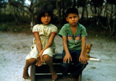 Seminole Indian children of the Big Cypress Seminole Indian Reservation