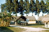Seminole Indian dwellings at the Dania Seminole Indian Reservation
