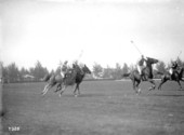 The Flamingo Hotel's polo grounds - Miami Beach, Florida