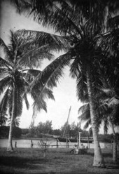Miami boating scene
