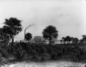 View of the Pennsylvania Sugar Company plant in Pennsuco, Florida.