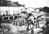 Coombs Lumber Company - Water Street, Apalachicola, Fla..
