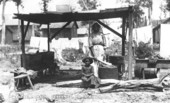 Laundry shed at the Warnell Lumber and Veneer Company