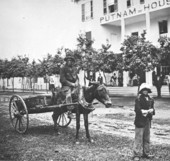 Mule-drawn cart in front of the Putnam House - Palatka, Florida