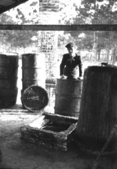 Woman leaning on barrels in Brooksville, Florida.