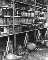 Shelves of canned and preserved goods