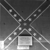 Battle flag for the 8th Florida Infantry Regiment.